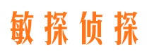 荔城侦探公司